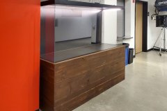 custom-trophey-display