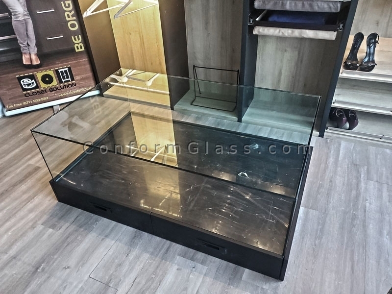 Large coffee table showcase