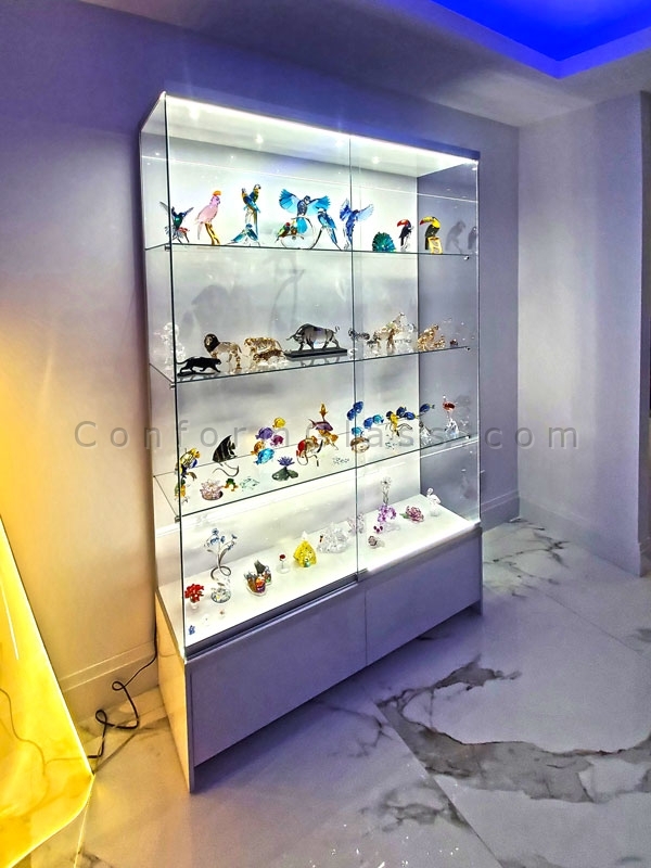 Custom glass display case