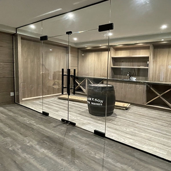 Glass Mounted Frameless Doors